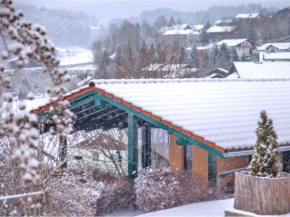 Holiday home with sauna in Viechtach